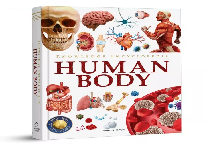 PPT - Knowledge-Encyclopedia-Human-Body-Knowledge-Encyclopedia-For ...