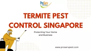 Choosing the best Termite Pest Control in Singapore - Proserv Pest