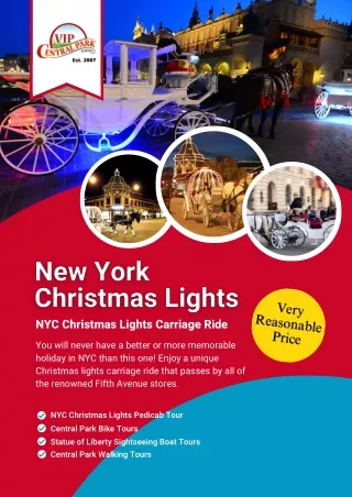 New York Christmas Lights | VIP Central Park Tours