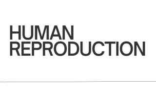 human reproduction- Presentation