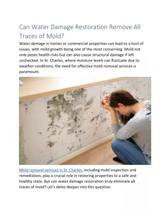 Can Water Damage Restoration Remove All  Traces of Mold?