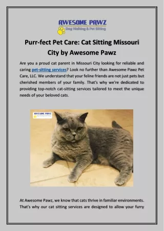 Purr-fect Pet Care: Cat Sitting Missouri City by Awesome Pawz
