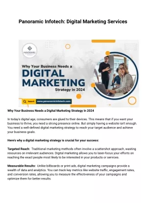 Panoramic Infotech_ Digital Marketing Services