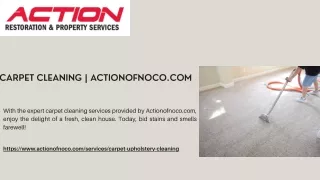 Carpet Cleaning | Actionofnoco.com