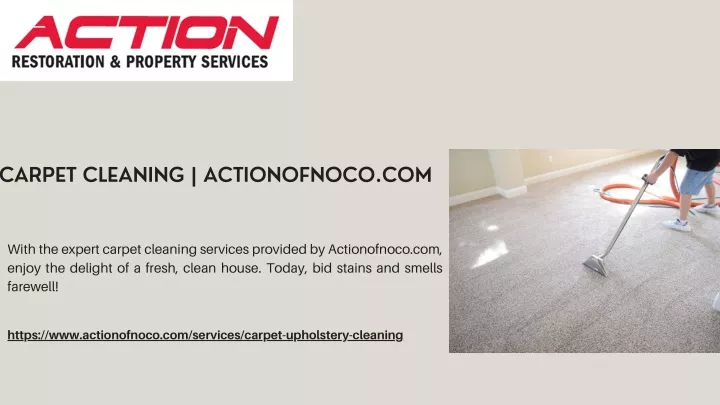 carpet cleaning actionofnoco com