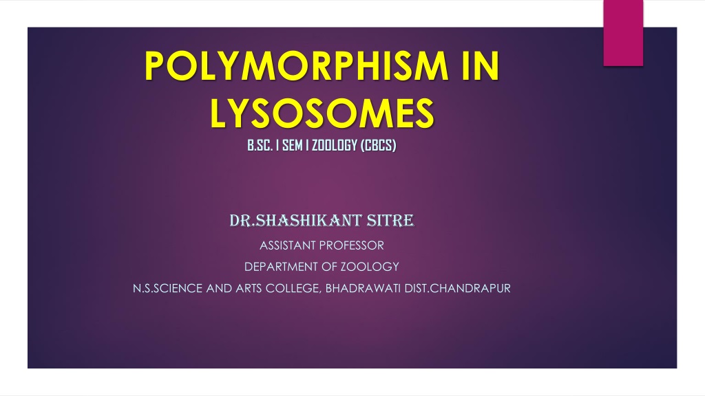 Polymorphism in Lysosomes: Types and Functions