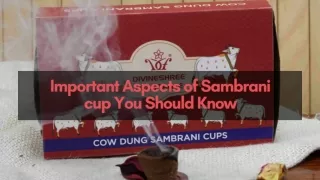 Important Aspects of Sambrani cup You Should Know