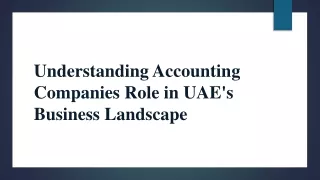 Understanding Accounting Companies Role in UAE's Business Landscape