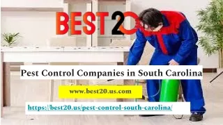 Pest Control Companies in South Carolina