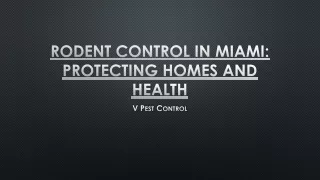 Rodent Control in Miami Protecting Homes and Health