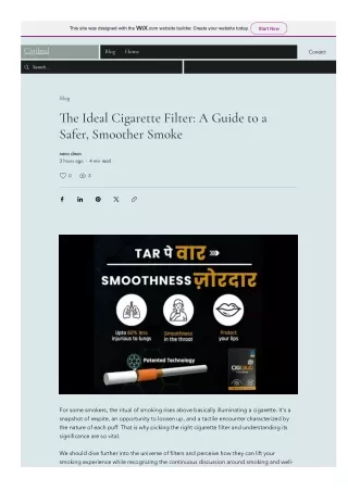 The Ideal Cigarette Filter A Guide to a Safer, Smoother Smoke