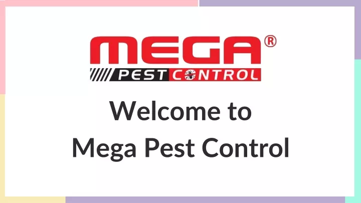 welcome to mega pest control