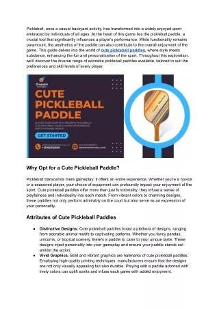 Cute Pickleball Paddle for Every Player | Dropspin PickleBall