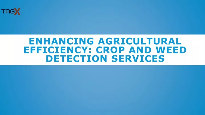 enhancing agricultural efficiency crop and weed detection services