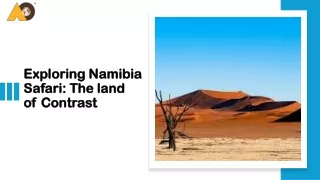 Exploring Namibia Safari The Land of Contrast