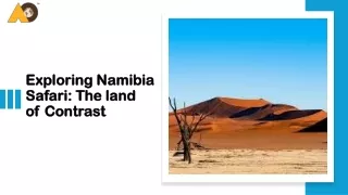 exploring namibia safari the land of contrast