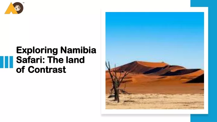 exploring namibia safari the land of contrast