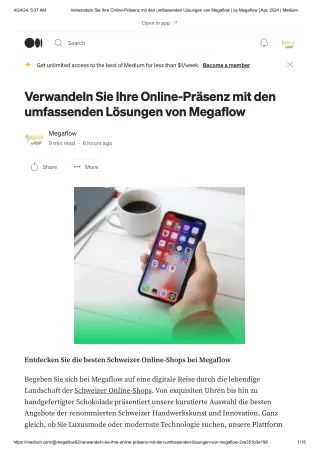 Verwandeln Sie Ihre Online-Präsenz mit den umfassenden Lösungen von Megaflow
