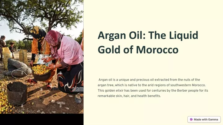 argan oil the liquid gold of morocco