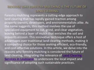 Reasons Why Forestry Mulching is the Future of Land Clearing