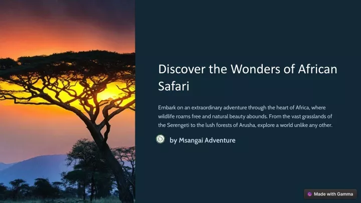 discover the wonders of african safari