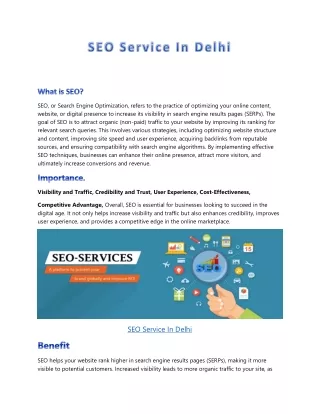 Seo Service in delhi