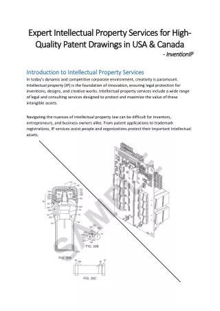 Expert Intellectual Property Services for Quality Patent Drawings | InventionIP