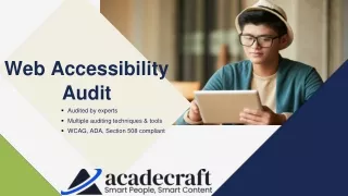 web accessibility audit