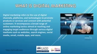 Best Digital Marketing Training and Course Jalandhar, Punjab