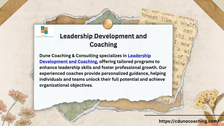 leadership development and coaching