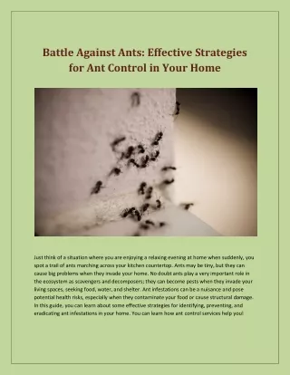 Battle Against Ants: Effective Strategies for Ant Control in Your Home