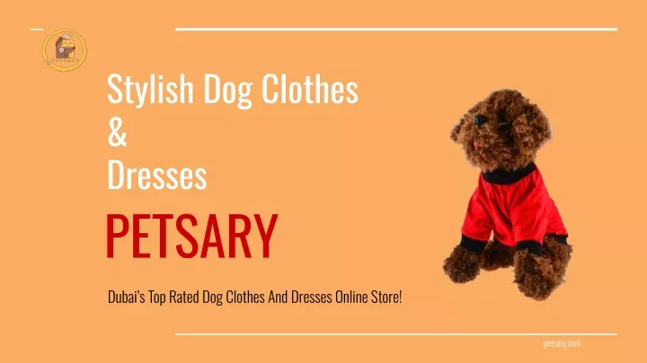 stylish dog clothes dresses petsary