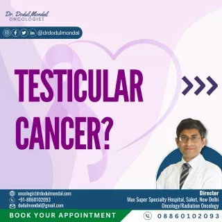 Exploring Testicular Cancer