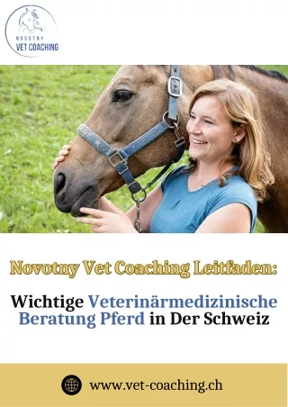 Veterinärmedizinische Beratung Pferd | Novotny Vet Coaching