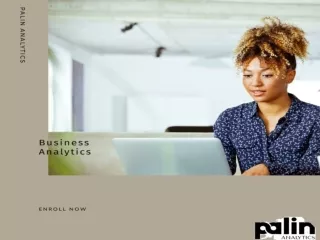 Business Analytics Course - Palin Analytics