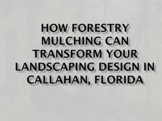 How Forestry Mulching Can Transform Your Landscaping Design in Callahan, Florida