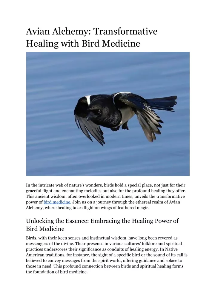 avian alchemy transformative healing with bird
