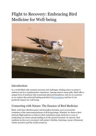 Flight to Recovery_ Embracing Bird Medicine for Well-being