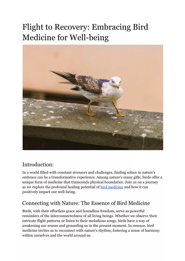 flight to recovery embracing bird medicine