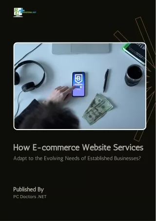 How E-commerce Website Services Adapt to Evolving Needs of Established business