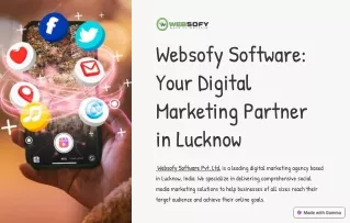 Social Media Marketing Company in Lucknow | Websofy Software Pvt. Ltd