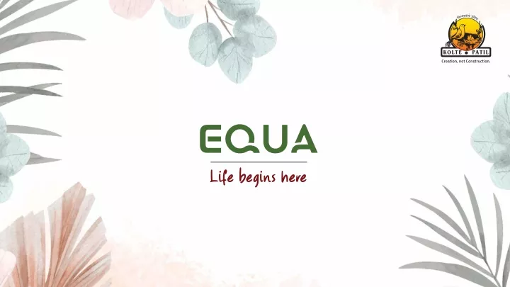 life begins here