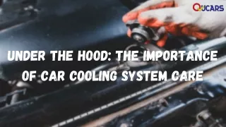 Cooling System Maintenance in Cars