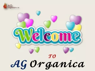 AG Organica High Quality Lavender Oil Manufacturer & Wholesale Supplier