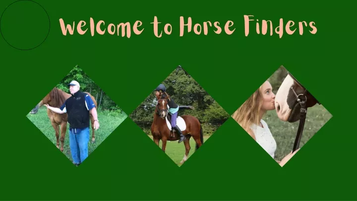 welcome to horse finders