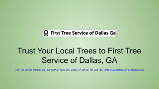 trust your local trees to first tree service