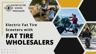 Electric Fat Tire Scooters with Fat Tire Wholesalers