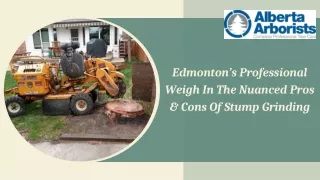 Edmonton’s Professional Weigh In The Nuanced Pros & Cons Of Stump Grinding