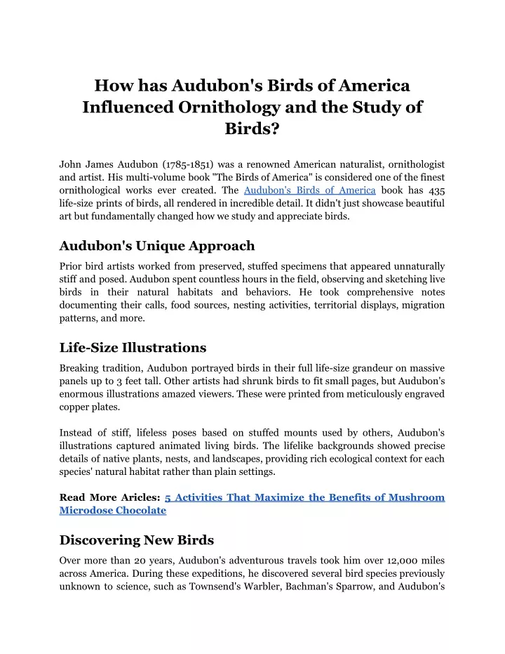 how has audubon s birds of america influenced