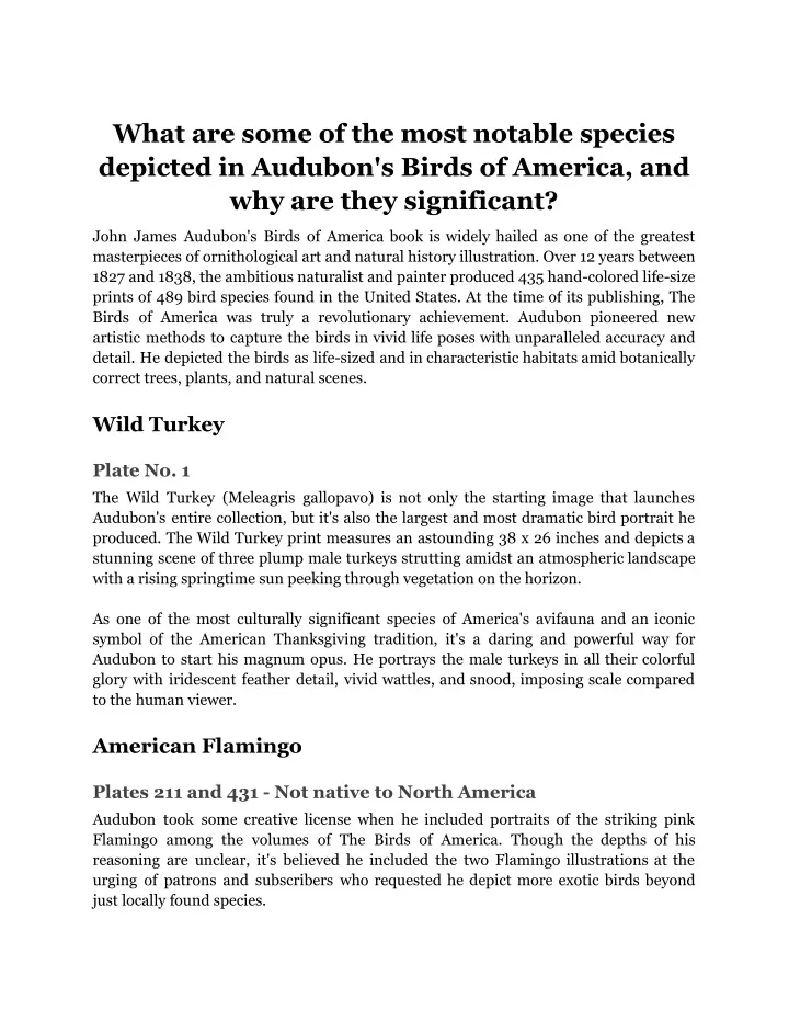 PPT - What are some of the most notable species depicted in Audubon's ...